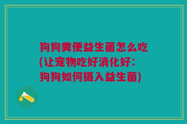 狗狗粪便益生菌怎么吃(让宠物吃好消化好:狗狗如何摄入益生菌)