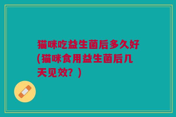 猫咪吃益生菌后多久好(猫咪食用益生菌后几天见效?)