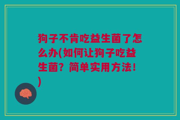 狗子不肯吃益生菌了怎么办(如何让狗子吃益生菌?简单实用方法!)