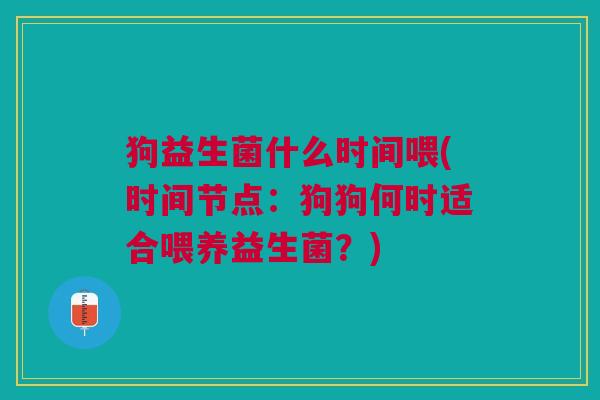 狗益生菌什么时间喂(时间节点:狗狗何时适合喂养益生菌?)