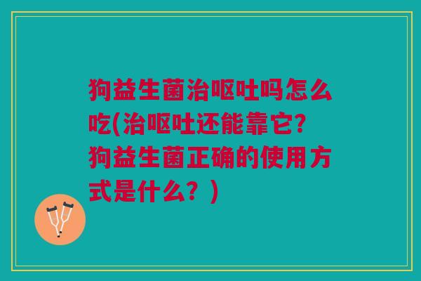 狗益生菌治呕吐吗怎么吃(治呕吐还能靠它?狗益生菌正确的使用方式是什么?)