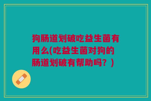 狗肠道划破吃益生菌有用么(吃益生菌对狗的肠道划破有帮助吗?) 狗肠道划破吃益生菌有用么(吃益生菌对狗的肠道划破有帮助吗?)
