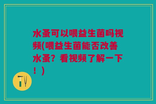 水蚤可以喂益生菌吗视频(喂益生菌能否改善水蚤?看视频了解一下!)