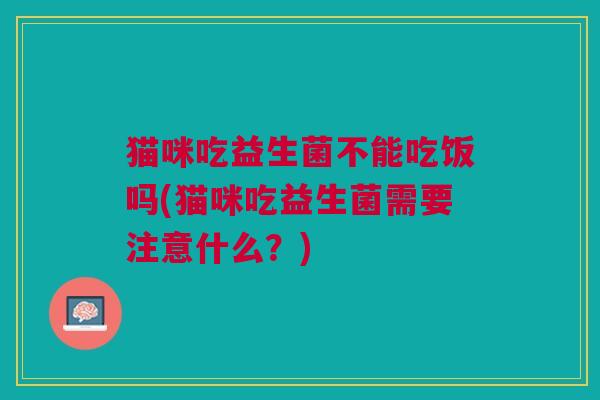猫咪吃益生菌不能吃饭吗(猫咪吃益生菌需要注意什么?) 猫咪吃益生菌不能吃饭吗(猫咪吃益生菌需要注意什么?)