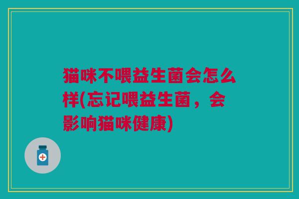 猫咪不喂益生菌会怎么样(忘记喂益生菌,会影响猫咪健康)
