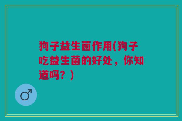 狗子益生菌作用(狗子吃益生菌的好处,你知道吗?) 狗子益生菌作用(狗子吃益生菌的好处,你知道吗?)
