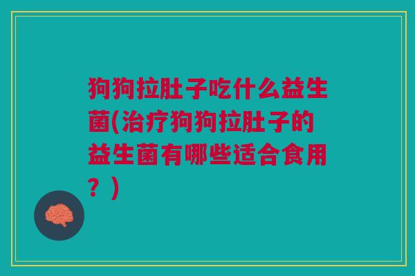 狗狗拉肚子吃什么益生菌(治疗狗狗拉肚子的益生菌有哪些适合食用?)