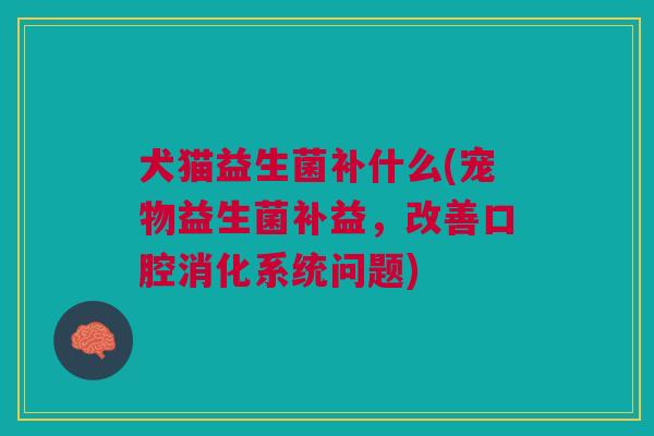 犬猫益生菌补什么(宠物益生菌补益，改善口腔消化系统问题)