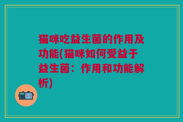 猫咪吃益生菌的作用及功能(猫咪如何受益于益生菌:作用和功能解析)
