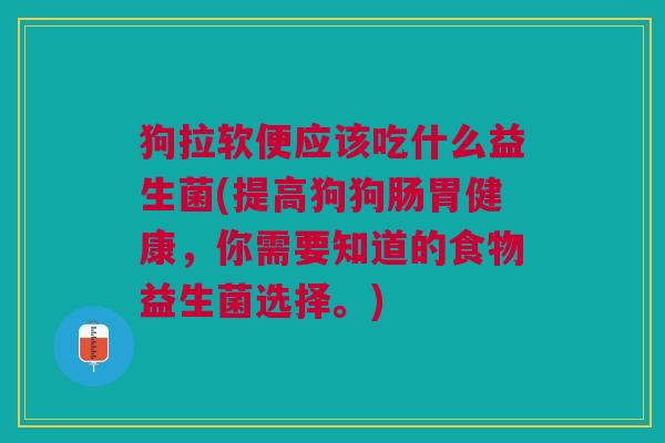 狗拉软便应该吃什么益生菌(提高狗狗肠胃健康,你需要知道的食物益生菌选择。)