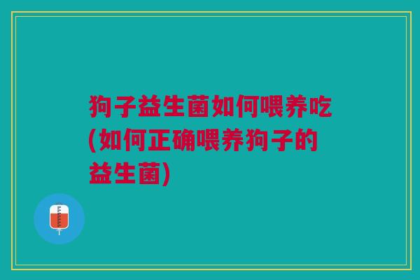 狗子益生菌如何喂养吃(如何正确喂养狗子的益生菌) 狗子益生菌如何喂养吃(如何正确喂养狗子的益生菌)