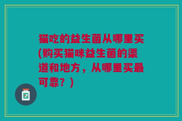 猫吃的益生菌从哪里买(购买猫咪益生菌的渠道和地方,从哪里买最可靠?)