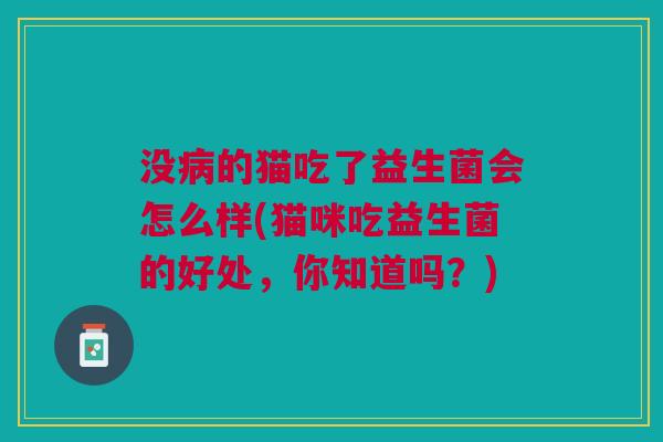 没的猫吃了益生菌会怎么样(猫咪吃益生菌的好处,你知道吗?) 没的猫吃了益生菌会怎么样(猫咪吃益生菌的好处,你知道吗?)