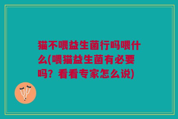 猫不喂益生菌行吗喂什么(喂猫益生菌有必要吗?看看专家怎么说)