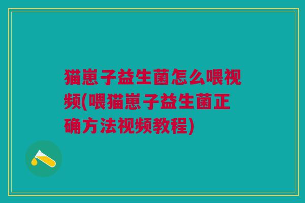 猫崽子益生菌怎么喂视频(喂猫崽子益生菌正确方法视频教程) 猫崽子益生菌怎么喂视频(喂猫崽子益生菌正确方法视频教程)