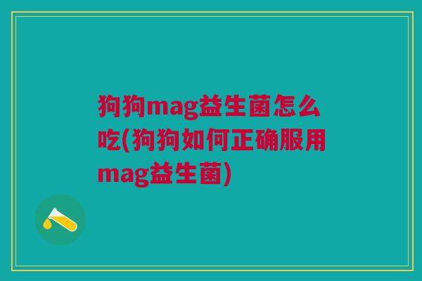 狗狗mag益生菌怎么吃(狗狗如何正确服用mag益生菌)