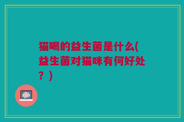 猫喝的益生菌是什么(益生菌对猫咪有何好处？)