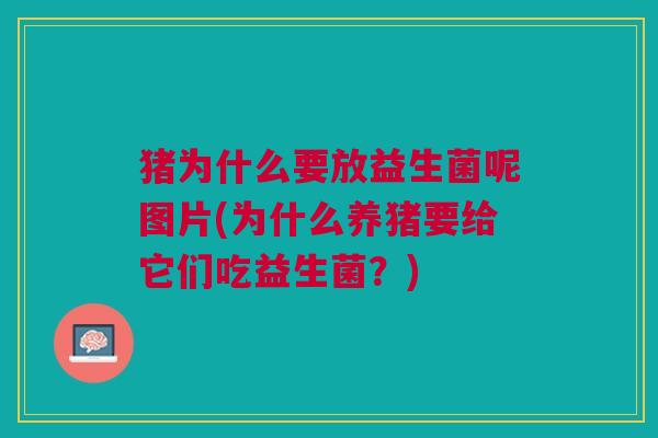 猪为什么要放益生菌呢图片(为什么养猪要给它们吃益生菌?)