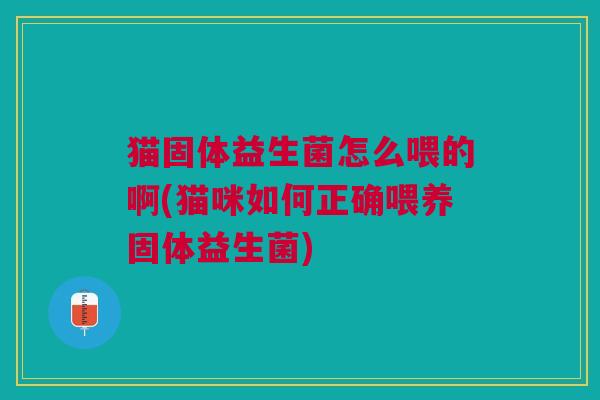 猫固体益生菌怎么喂的啊(猫咪如何正确喂养固体益生菌)