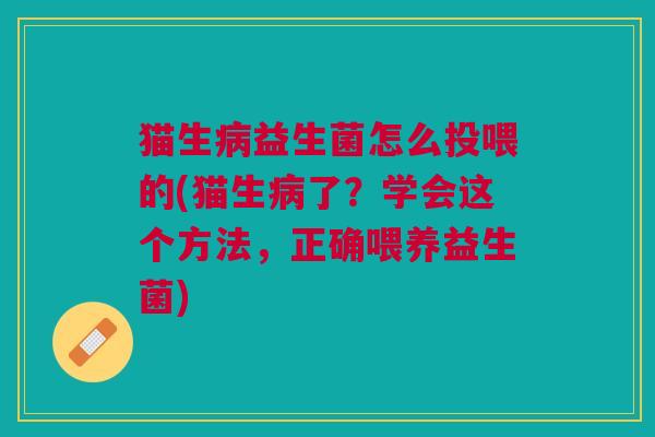 猫生病益生菌怎么投喂的(猫生病了?学会这个方法,正确喂养益生菌)
