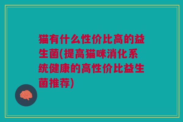 猫有什么性价比高的益生菌(提高猫咪消化系统健康的高性价比益生菌推荐)
