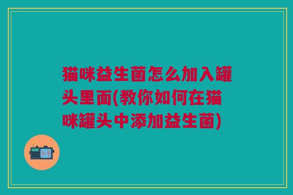 猫咪益生菌怎么加入罐头里面(教你如何在猫咪罐头中添加益生菌) 猫咪益生菌怎么加入罐头里面(教你如何在猫咪罐头中添加益生菌)