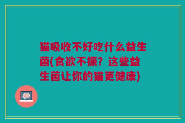 猫吸收不好吃什么益生菌(食欲不振?这些益生菌让你的猫更健康)