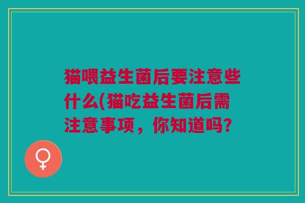 猫喂益生菌后要注意些什么(猫吃益生菌后需注意事项,你知道吗?
