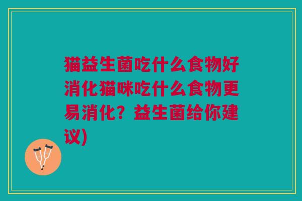 猫益生菌吃什么食物好消化猫咪吃什么食物更易消化?益生菌给你建议)