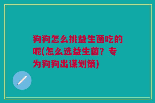 狗狗怎么挑益生菌吃的呢(怎么选益生菌?专为狗狗出谋划策)