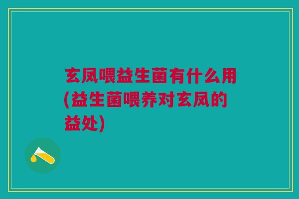 玄凤喂益生菌有什么用(益生菌喂养对玄凤的益处)