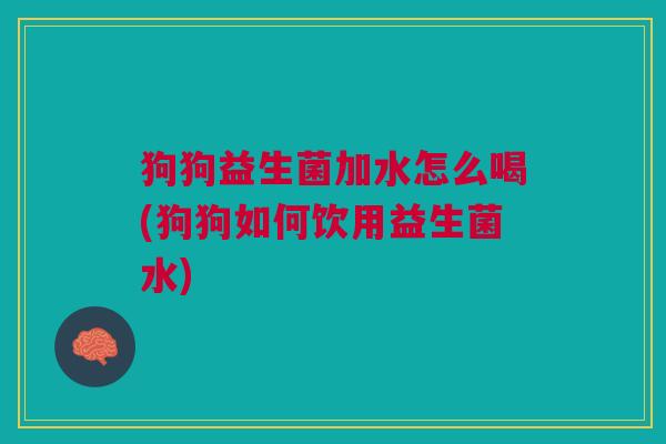 狗狗益生菌加水怎么喝(狗狗如何饮用益生菌水)