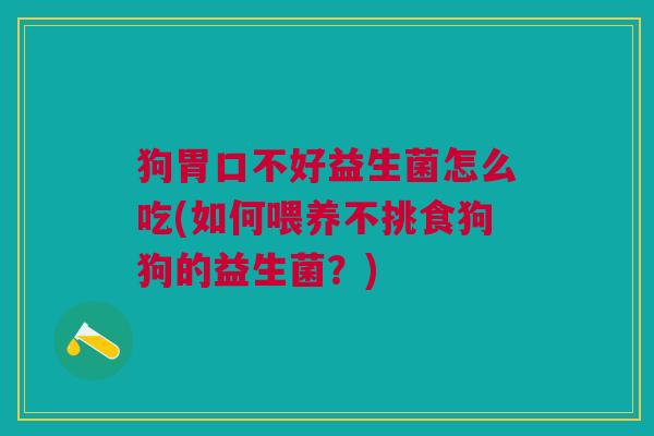 狗胃口不好益生菌怎么吃(如何喂养不挑食狗狗的益生菌？)