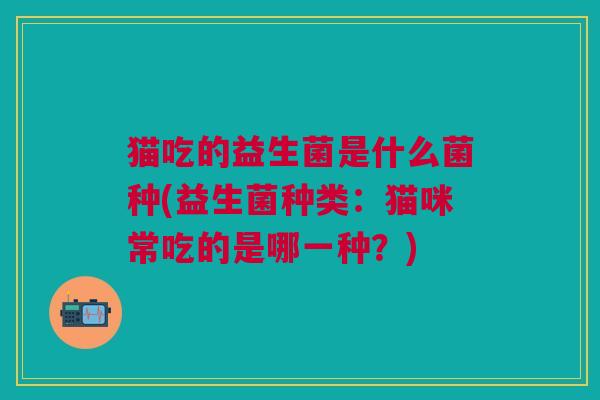 猫吃的益生菌是什么菌种(益生菌种类：猫咪常吃的是哪一种？)