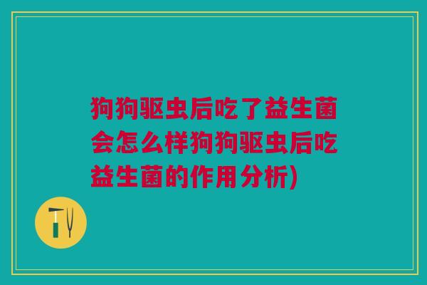 狗狗驱虫后吃了益生菌会怎么样狗狗驱虫后吃益生菌的作用分析)