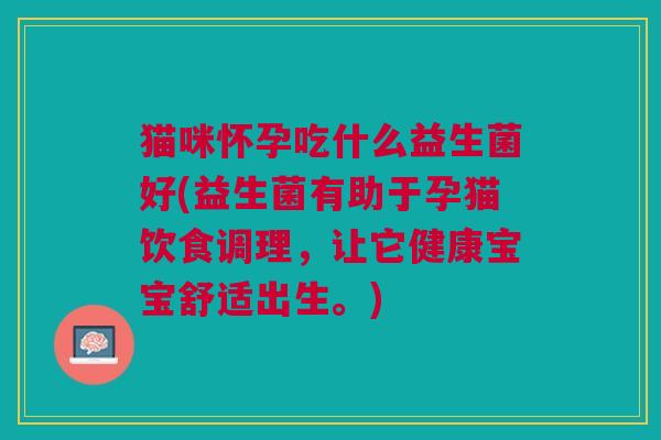 猫咪怀孕吃什么益生菌好(益生菌有助于孕猫饮食调理,让它健康宝宝舒适出生。)