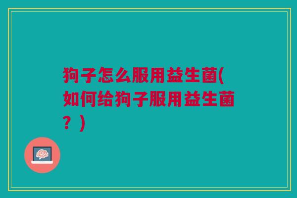 狗子怎么服用益生菌(如何给狗子服用益生菌?)