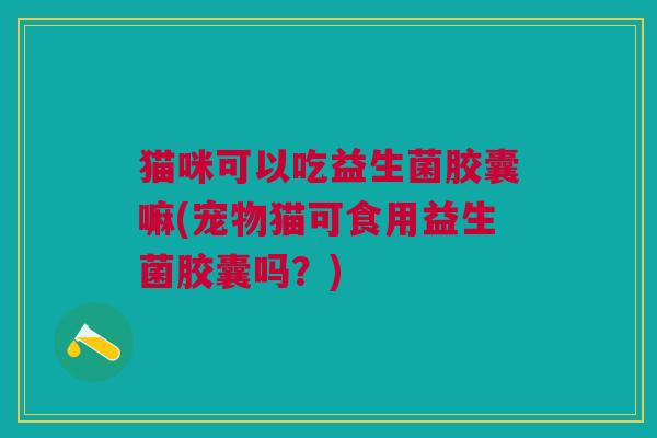 猫咪可以吃益生菌胶囊嘛(宠物猫可食用益生菌胶囊吗?)