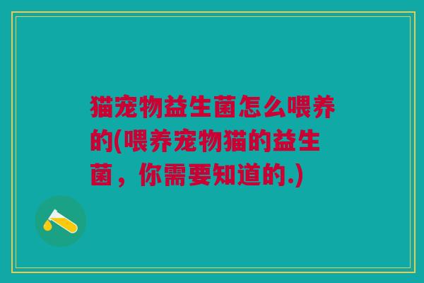 猫宠物益生菌怎么喂养的(喂养宠物猫的益生菌,你需要知道的.)