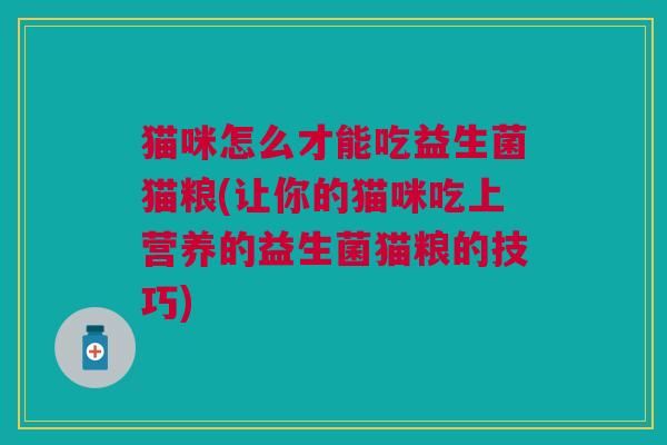 猫咪怎么才能吃益生菌猫粮(让你的猫咪吃上营养的益生菌猫粮的技巧)