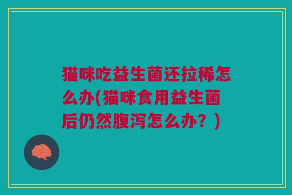 猫咪吃益生菌还拉稀怎么办(猫咪食用益生菌后仍然怎么办?) 猫咪吃益生菌还拉稀怎么办(猫咪食用益生菌后仍然怎么办?)