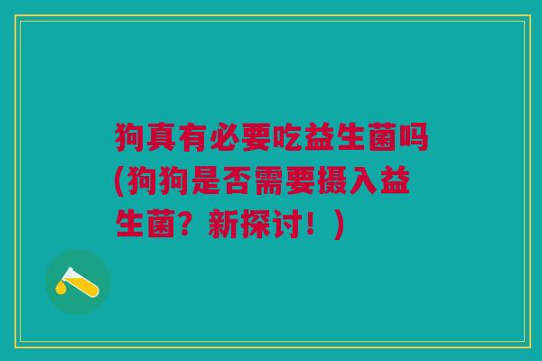 狗真有必要吃益生菌吗(狗狗是否需要摄入益生菌?新探讨!)