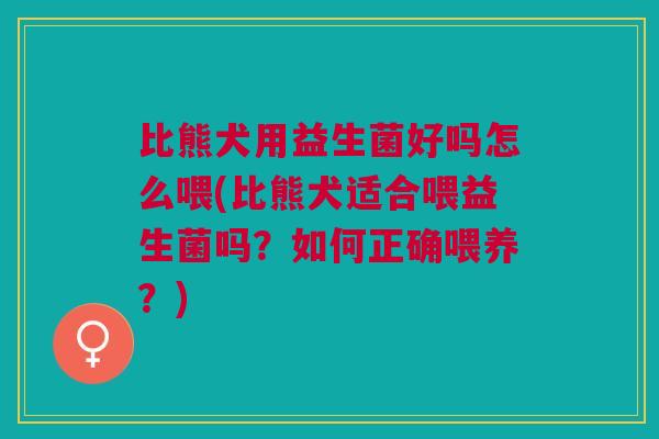 比熊犬用益生菌好吗怎么喂(比熊犬适合喂益生菌吗?如何正确喂养?)