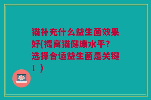 猫补充什么益生菌效果好(提高猫健康水平?选择合适益生菌是关键!)