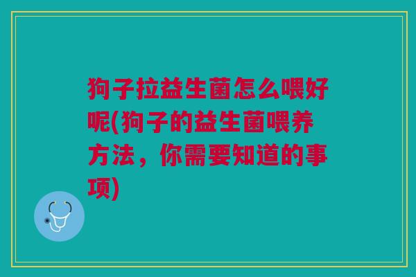 狗子拉益生菌怎么喂好呢(狗子的益生菌喂养方法,你需要知道的事项)