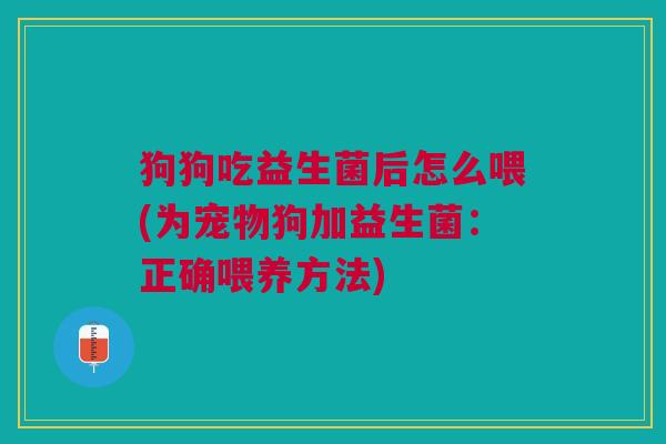 狗狗吃益生菌后怎么喂(为宠物狗加益生菌:正确喂养方法)