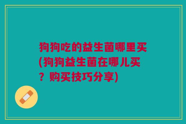 狗狗吃的益生菌哪里买(狗狗益生菌在哪儿买?购买技巧分享) 狗狗吃的益生菌哪里买(狗狗益生菌在哪儿买?购买技巧分享)
