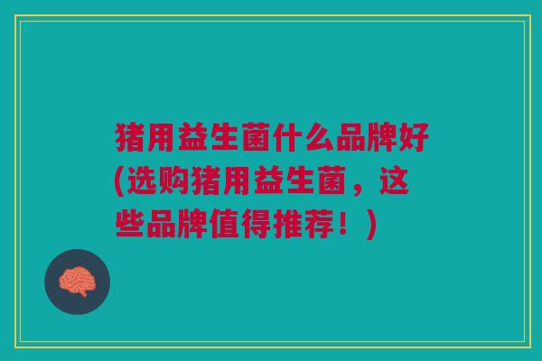 猪用益生菌什么品牌好(选购猪用益生菌,这些品牌值得推荐!)