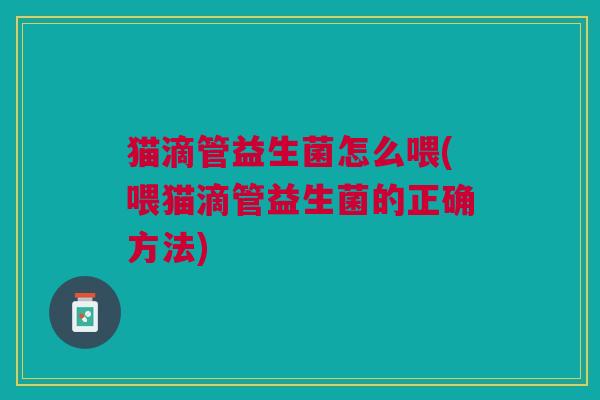 猫滴管益生菌怎么喂(喂猫滴管益生菌的正确方法)