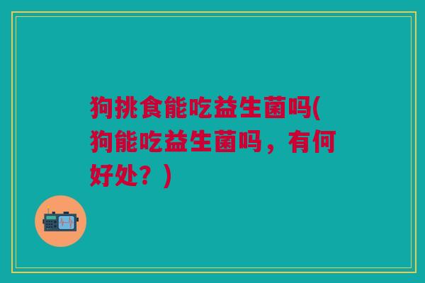 狗挑食能吃益生菌吗(狗能吃益生菌吗,有何好处?)